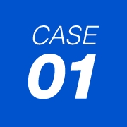 case 01