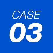 case 03