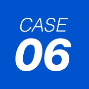 case 06